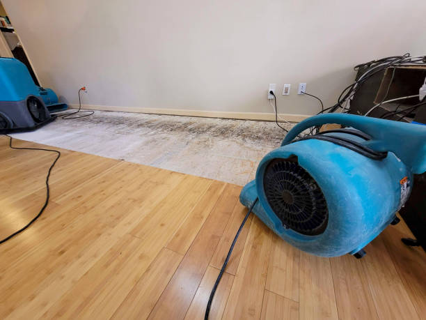 Professional Structural Drying technician working in Lempster, NH